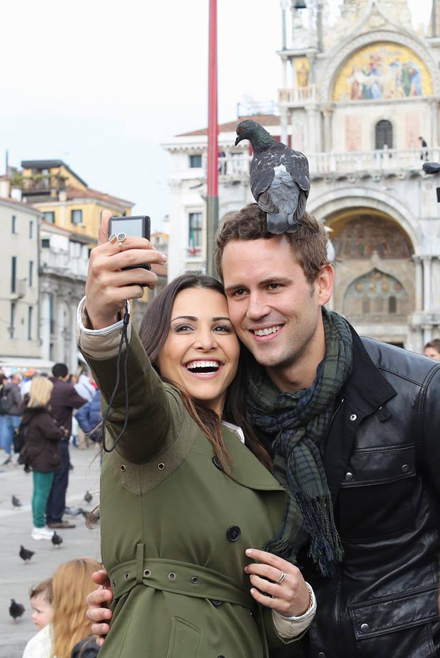 The Bachelorette, Andi Dorfman, Nick V. The Bachelorette, Andi Dorfman, Nick V.
